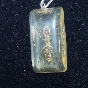 Real Ant Insect Specimen Resin Pendant Necklace Curiosity Jewelry